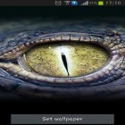 Förutom levande bakgrundsbild till Android Cut the rope ström, ladda ner gratis live wallpaper APK Crocodile eyes andra.