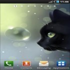 Förutom levande bakgrundsbild till Android Nature tree ström, ladda ner gratis live wallpaper APK Curious cat andra.