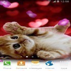 Förutom levande bakgrundsbild till Android 3D Car ström, ladda ner gratis live wallpaper APK Cute animals by Live wallpapers 3D andra.