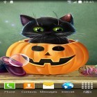 Förutom levande bakgrundsbild till Android Funny pets: dancing and singing ström, ladda ner gratis live wallpaper APK Cute Halloween andra.