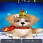 Förutom levande bakgrundsbild till Android Tropical ocean ström, ladda ner gratis live wallpaper APK Cute puppy andra.