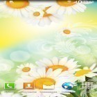 Förutom levande bakgrundsbild till Android Spring nature ström, ladda ner gratis live wallpaper APK Daisies by Live wallpapers andra.