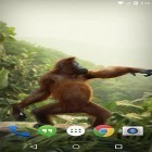 Förutom levande bakgrundsbild till Android Jellyfishes 3D ström, ladda ner gratis live wallpaper APK Dancing monkey andra.