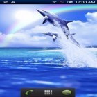 Förutom levande bakgrundsbild till Android Cute lovers ström, ladda ner gratis live wallpaper APK Dolphin blue andra.