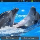 Förutom levande bakgrundsbild till Android Halloween steampunkin ström, ladda ner gratis live wallpaper APK Dolphins andra.