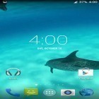 Förutom levande bakgrundsbild till Android Panoramic screen ström, ladda ner gratis live wallpaper APK Dolphins HD andra.
