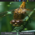 Förutom levande bakgrundsbild till Android Nature live ström, ladda ner gratis live wallpaper APK Dragonfly andra.