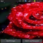 Förutom levande bakgrundsbild till Android Deer and nature 3D ström, ladda ner gratis live wallpaper APK Drops and roses andra.