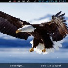 Förutom levande bakgrundsbild till Android 3D Waterfall pro ström, ladda ner gratis live wallpaper APK Eagle andra.