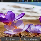 Förutom levande bakgrundsbild till Android Snow globe 3D ström, ladda ner gratis live wallpaper APK Early spring: Nature andra.