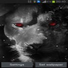 Förutom levande bakgrundsbild till Android Sharingan ström, ladda ner gratis live wallpaper APK Eyes lion andra.