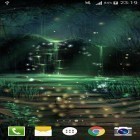Förutom levande bakgrundsbild till Android The Goose ström, ladda ner gratis live wallpaper APK Fireflies by Live wallpaper HD andra.