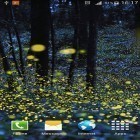 Ladda ner Fireflies by Phoenix Live Wallpapers på Android, liksom andra gratis live wallpapers för Samsung D900.