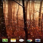 Förutom levande bakgrundsbild till Android Spring trees ström, ladda ner gratis live wallpaper APK Fireflies droplets HD andra.