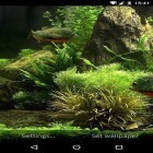 Förutom levande bakgrundsbild till Android Flowers clock ström, ladda ner gratis live wallpaper APK Fish aquarium 3D andra.