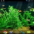 Förutom levande bakgrundsbild till Android Planet 3D ström, ladda ner gratis live wallpaper APK Fishbowl andra.