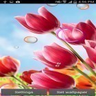 Förutom levande bakgrundsbild till Android Tropical ocean ström, ladda ner gratis live wallpaper APK Flowers 2015 andra.