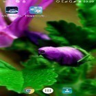 Förutom levande bakgrundsbild till Android Iron man 3 ström, ladda ner gratis live wallpaper APK Flowers life andra.