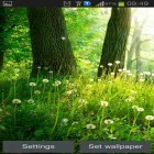 Ladda ner Forest by Live wallpaper hq på Android, liksom andra gratis live wallpapers för Sony Xperia Miro ST23i.