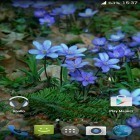 Förutom levande bakgrundsbild till Android Moomlight ström, ladda ner gratis live wallpaper APK Forest flowers andra.