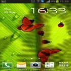 Ladda ner Friendly bugs på Android, liksom andra gratis live wallpapers för Samsung Galaxy Spica.