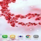 Förutom levande bakgrundsbild till Android Cute butterfly ström, ladda ner gratis live wallpaper APK Frozen beauty: Winter tale andra.