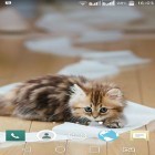 Förutom levande bakgrundsbild till Android Lightning storm 3D ström, ladda ner gratis live wallpaper APK Funny animal andra.