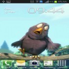 Förutom levande bakgrundsbild till Android Forest HD ström, ladda ner gratis live wallpaper APK Funny bird andra.