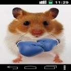 Ladda ner Funny hamster: Cracked screen på Android, liksom andra gratis live wallpapers för Apple iPhone 5C.