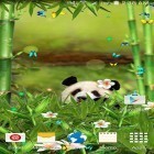 Förutom levande bakgrundsbild till Android Earth satellite ström, ladda ner gratis live wallpaper APK Funny panda andra.