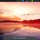 Förutom levande bakgrundsbild till Android Flower 360 3D ström, ladda ner gratis live wallpaper APK Gionee andra.