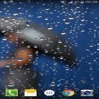 Förutom levande bakgrundsbild till Android Paper Now ström, ladda ner gratis live wallpaper APK Glass droplets andra.