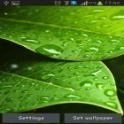 Förutom levande bakgrundsbild till Android Nature live: Spring flowers 3D ström, ladda ner gratis live wallpaper APK Green leaves andra.