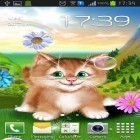 Förutom levande bakgrundsbild till Android Hummingbird ström, ladda ner gratis live wallpaper APK Kitten andra.