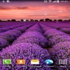 Förutom levande bakgrundsbild till Android Sunset spring ström, ladda ner gratis live wallpaper APK Landscape andra.