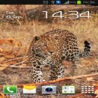 Förutom levande bakgrundsbild till Android Plasma ström, ladda ner gratis live wallpaper APK Leopard andra.