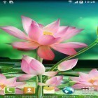 Förutom levande bakgrundsbild till Android Moonlight by 3D Top Live Wallpaper ström, ladda ner gratis live wallpaper APK Lotus andra.