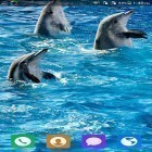 Förutom levande bakgrundsbild till Android Rose 3D ström, ladda ner gratis live wallpaper APK Lovely dolphin andra.