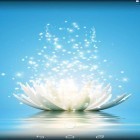 Förutom levande bakgrundsbild till Android Floral ström, ladda ner gratis live wallpaper APK Magic water lilies andra.