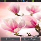Ladda ner Magnolia på Android, liksom andra gratis live wallpapers för Samsung Galaxy Tab 4.