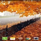 Förutom levande bakgrundsbild till Android Swords Grass ström, ladda ner gratis live wallpaper APK Maple: Droplets andra.