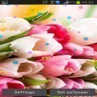 Ladda ner March 8 på Android, liksom andra gratis live wallpapers för Asus ZenFone 2.