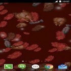 Förutom levande bakgrundsbild till Android Desert treasure ström, ladda ner gratis live wallpaper APK Minecraft andra.
