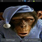 Förutom levande bakgrundsbild till Android Night city ström, ladda ner gratis live wallpaper APK Monkey 3D andra.
