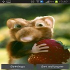Förutom levande bakgrundsbild till Android Elements of design ström, ladda ner gratis live wallpaper APK Mouse with strawberries andra.