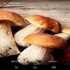 Ladda ner Mushrooms på Android, liksom andra gratis live wallpapers för Sony Ericsson W395.