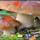 Förutom levande bakgrundsbild till Android Spring rain ström, ladda ner gratis live wallpaper APK Mushrooms by BlackBird Wallpapers andra.