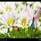 Förutom levande bakgrundsbild till Android Jade nature HD ström, ladda ner gratis live wallpaper APK My flower andra.