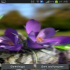 Förutom levande bakgrundsbild till Android Neon bubbles ström, ladda ner gratis live wallpaper APK Nature live: Spring flowers 3D andra.