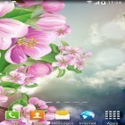 Förutom levande bakgrundsbild till Android Spring trees ström, ladda ner gratis live wallpaper APK Night sakura andra.
